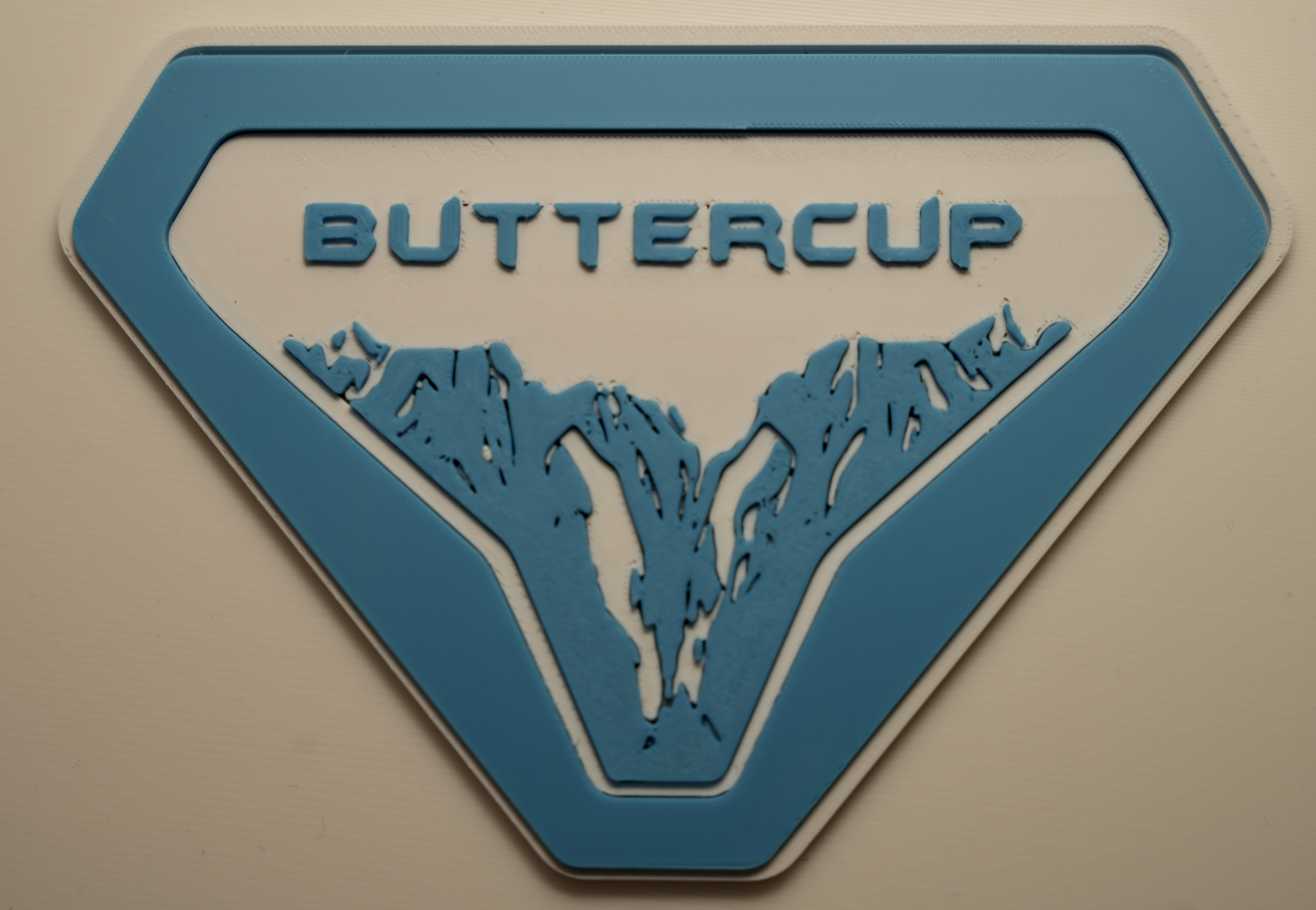 Custom 3D printed badge color example